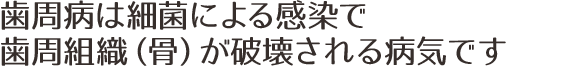 歯周病は細菌による感染で歯周組織（骨）が破壊される病気です